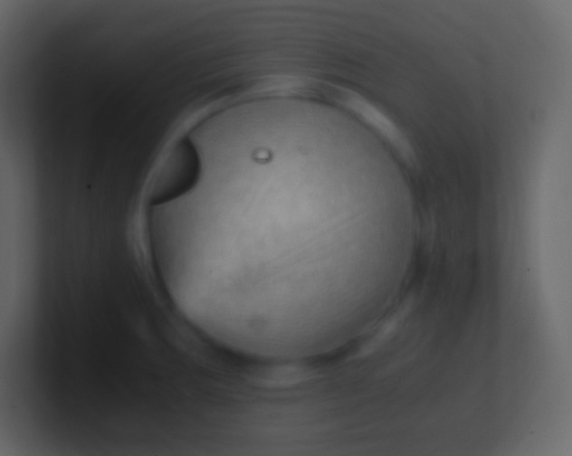 X0000100941283200807081226