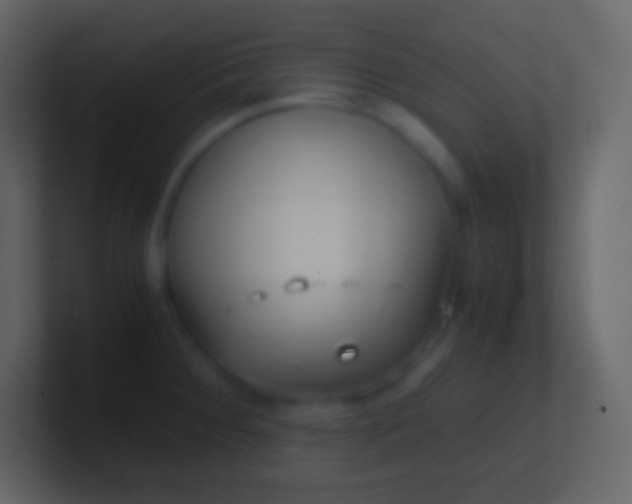 X0000100941284200807081226