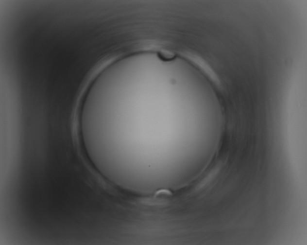 X0000100941285200807081226