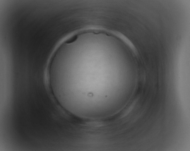 X0000100941287200807081226