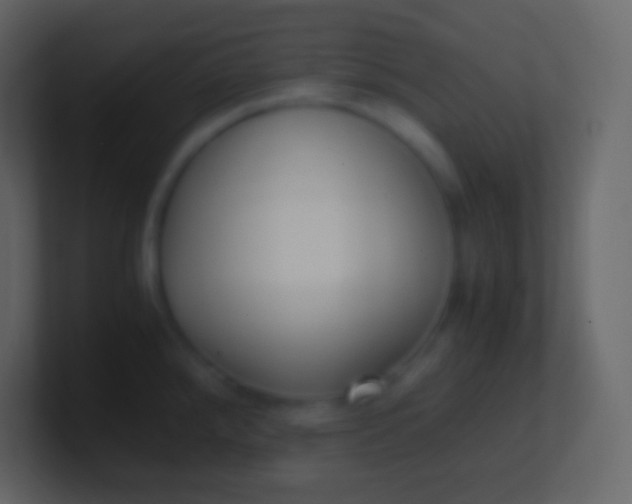 X0000100941288200807081226