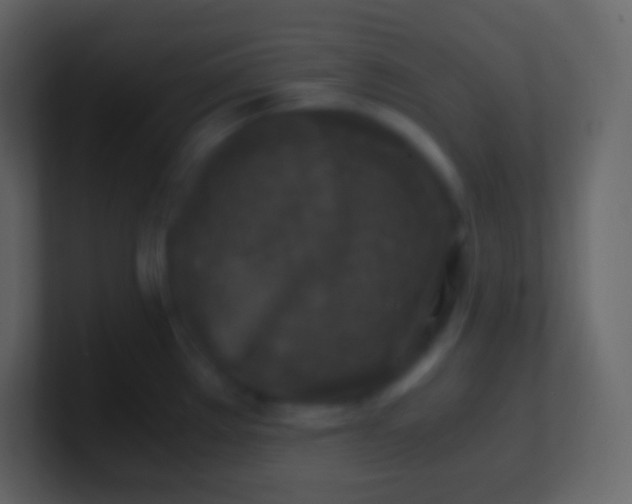 X0000100941289200807081226