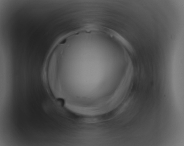 X0000100941291200807081226