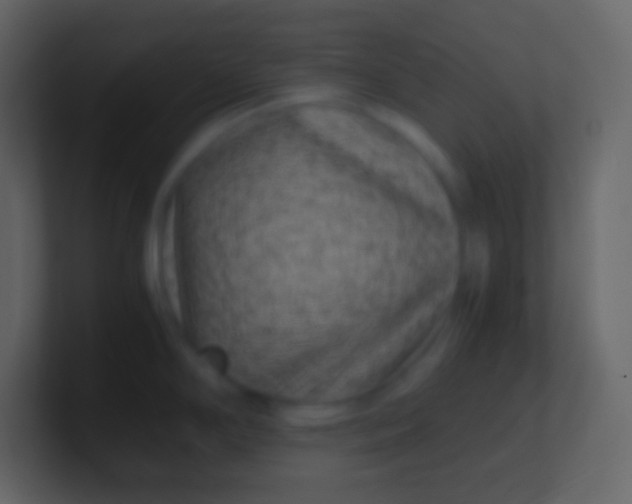 X0000100941294200807081226