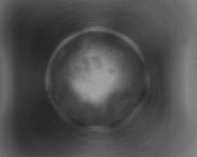 X0000100941295200807081226