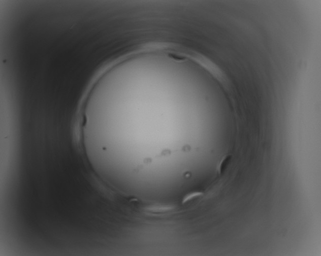 X0000100941296200807081226