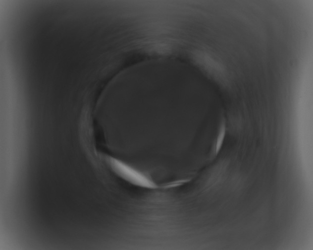 X0000100941297200807081226