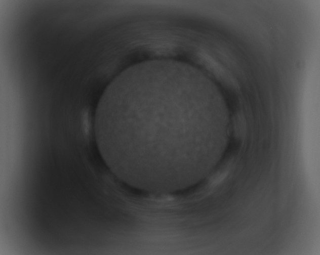 X0000100941298200807081226