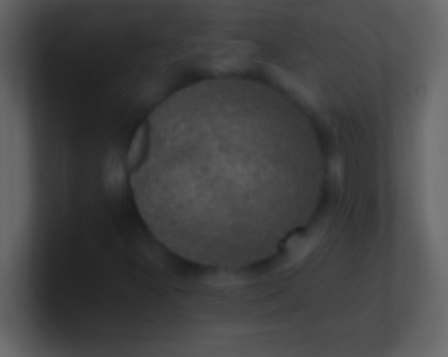 X0000100941300200807081226