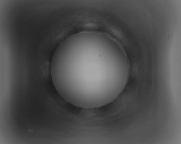 X0000100941301200807081226