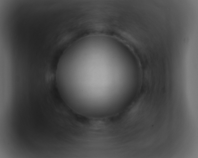 X0000100941302200807081226