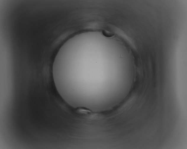 X0000100941304200807081226