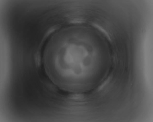 X0000100941306200807081226