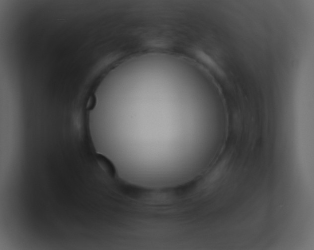 X0000100941307200807081226