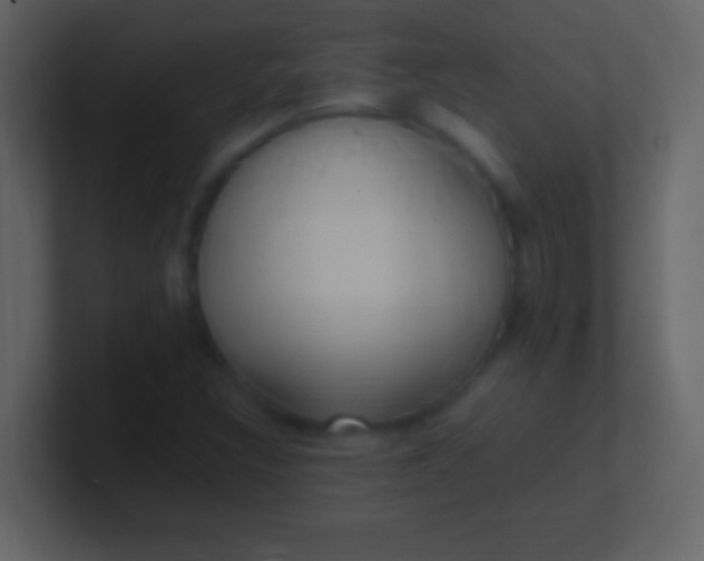 X0000100941308200807081226