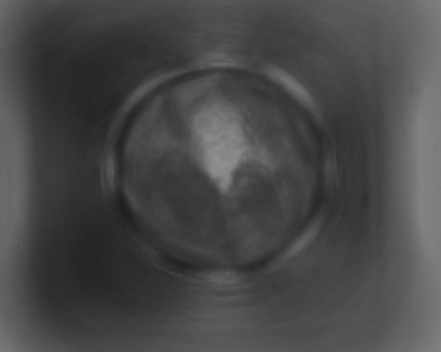 X0000100941310200807081226