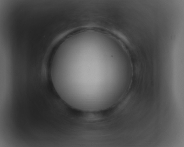 X0000100941311200807081226