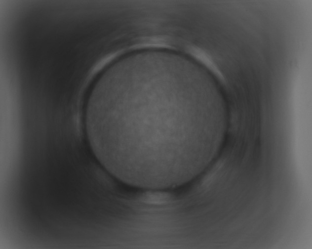 X0000100941312200807081226