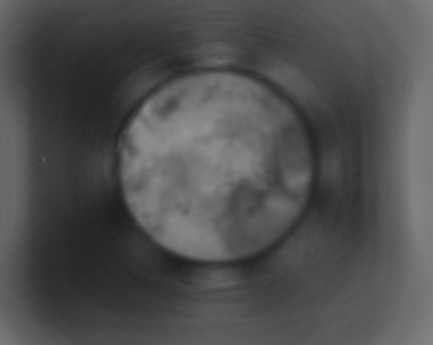 X0000100941314200807081226