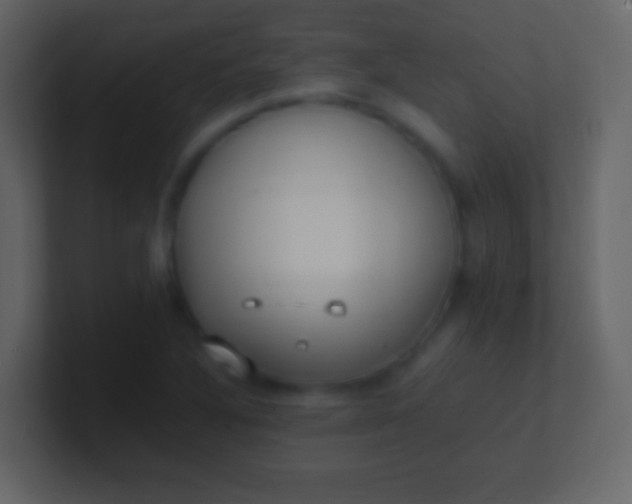 X0000100941316200807081226