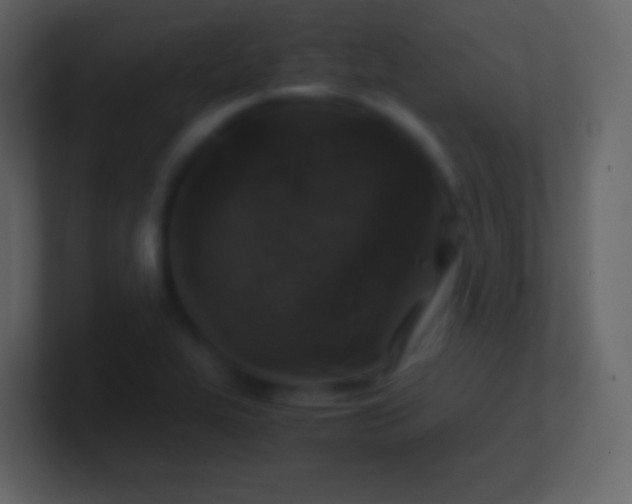 X0000100941319200807081226