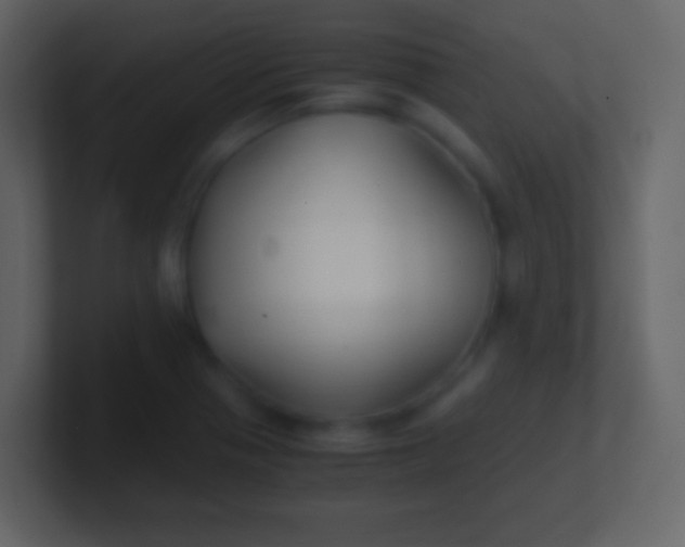 X0000100941321200807081226