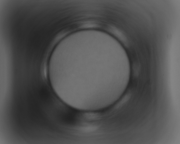 X0000100941322200807081226