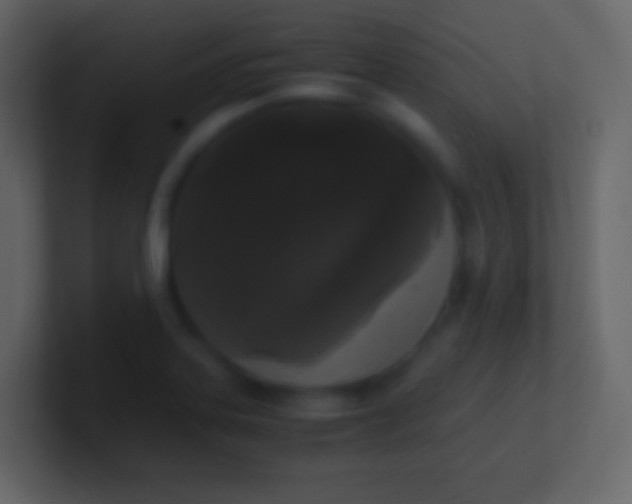 X0000100941323200807081226