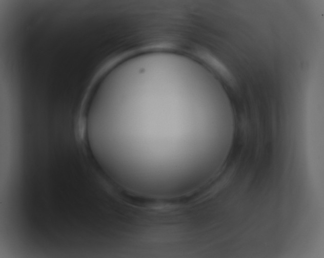 X0000100941324200807081226