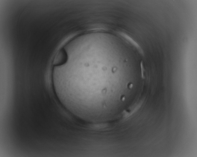 X0000100941325200807081226