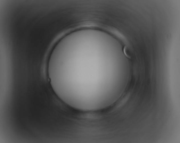 X0000100941326200807081226