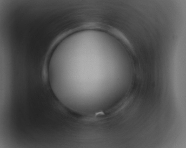 X0000100941328200807081226