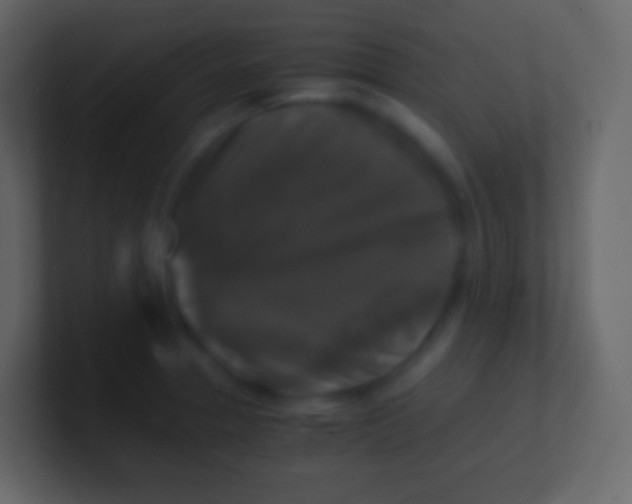 X0000100941329200807081226