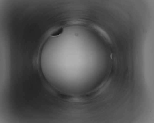 X0000100941330200807081226