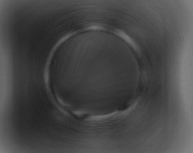 X0000100941331200807081226