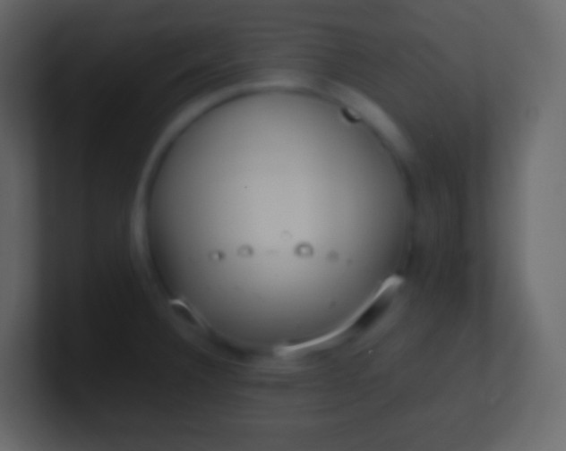 X0000100941332200807081226