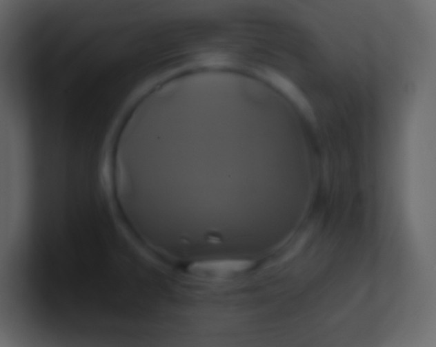 X0000100941334200807081226