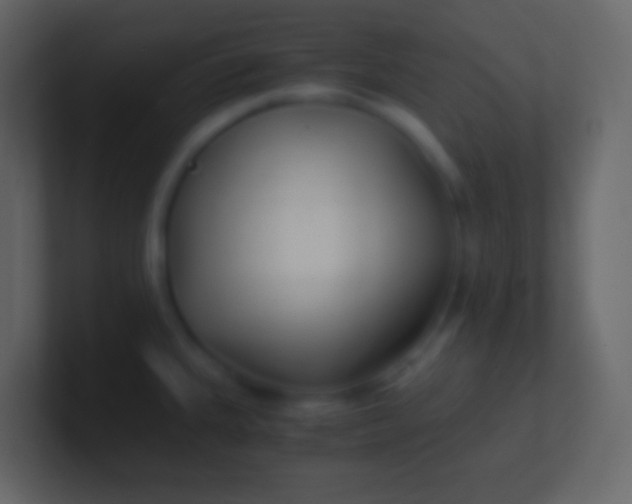 X0000100941335200807081226