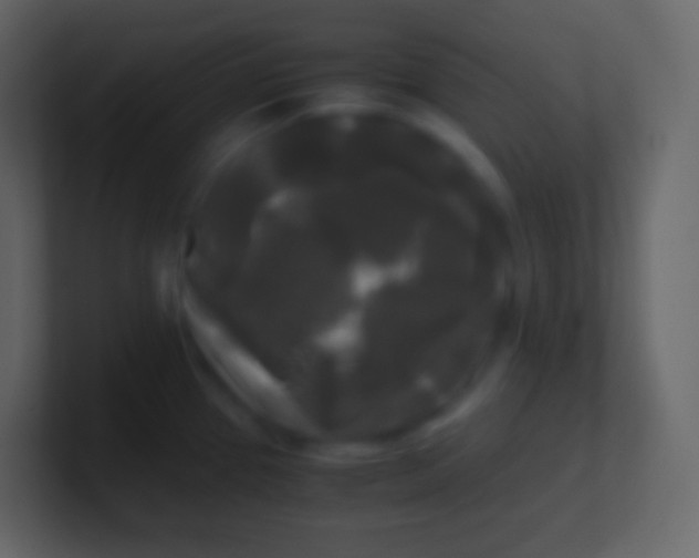 X0000100941337200807081226