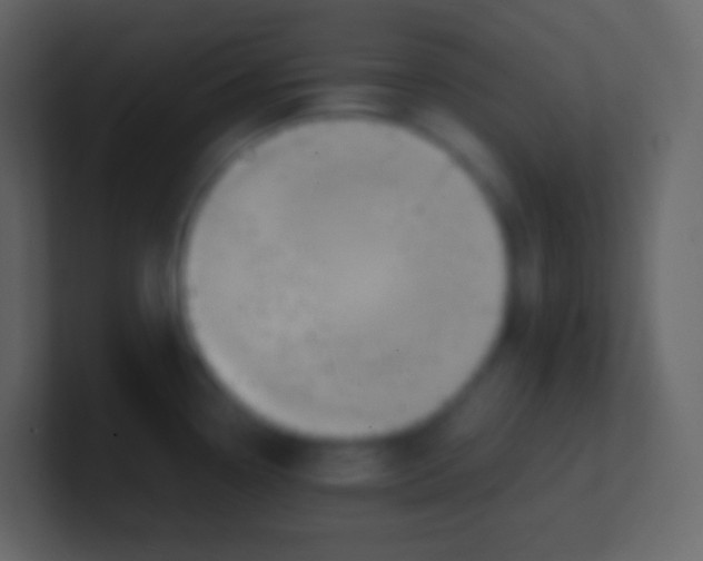 X0000100941338200807081226