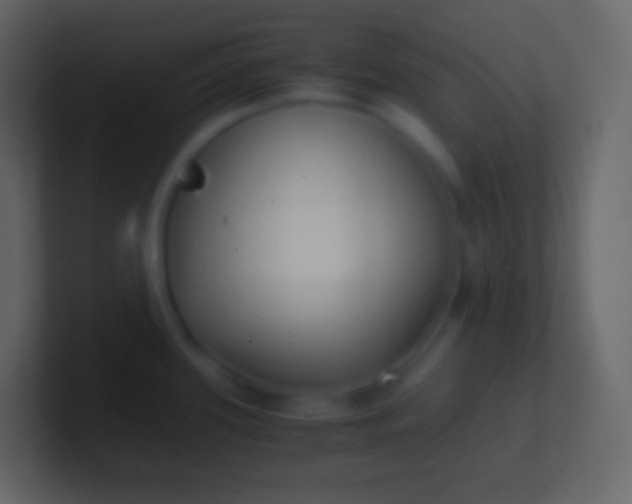 X0000100941339200807081226