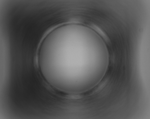 X0000100941340200807081226