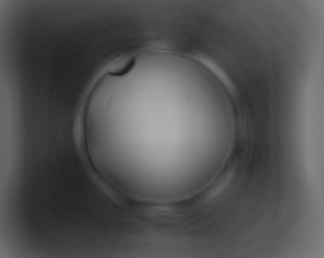 X0000100941341200807081226