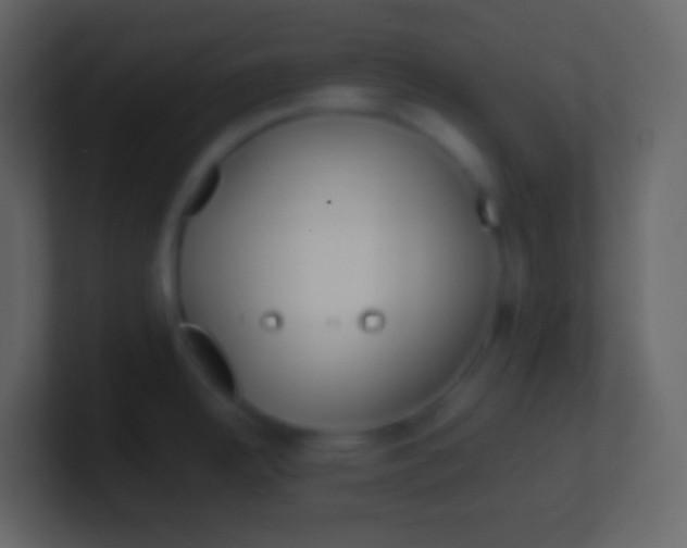 X0000100941342200807081226