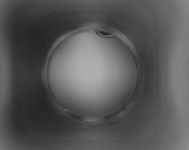 X0000100941344200807081226