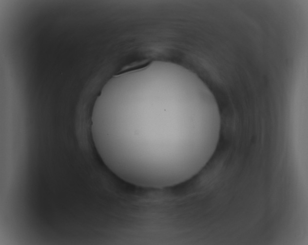 X0000100941345200807081226