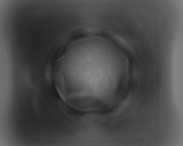 X0000100941346200807081226