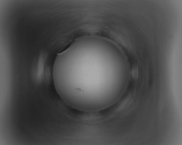 X0000100941347200807081226