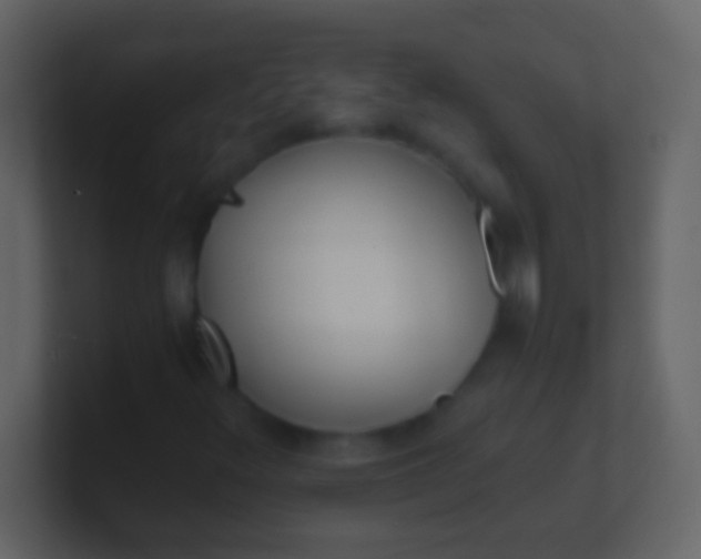 X0000100941348200807081226