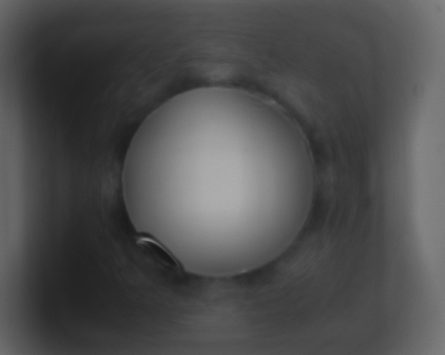 X0000100941349200807081226